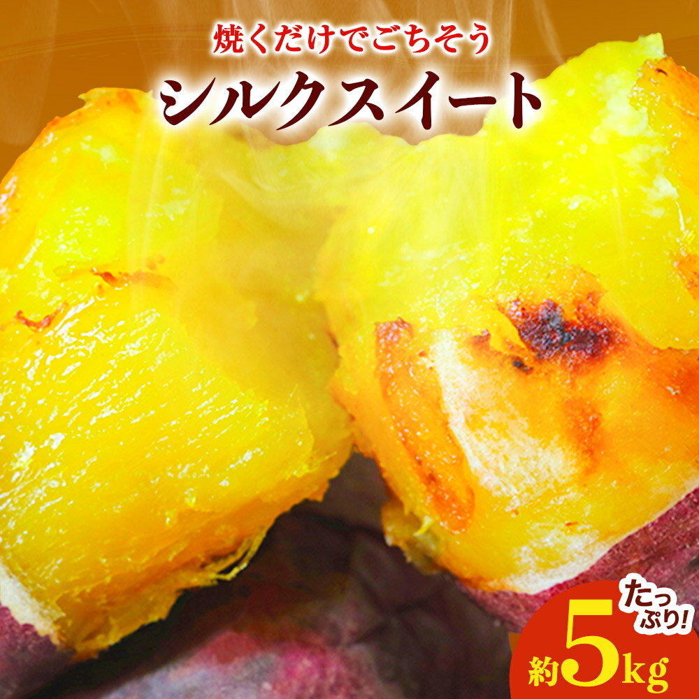 熊本県大津町産 タカハマ観光農園のシルクスイート 約5kg《2026年1月上旬-4月末頃出荷》 さつまいも 芋 スイートポテト 干し芋にも