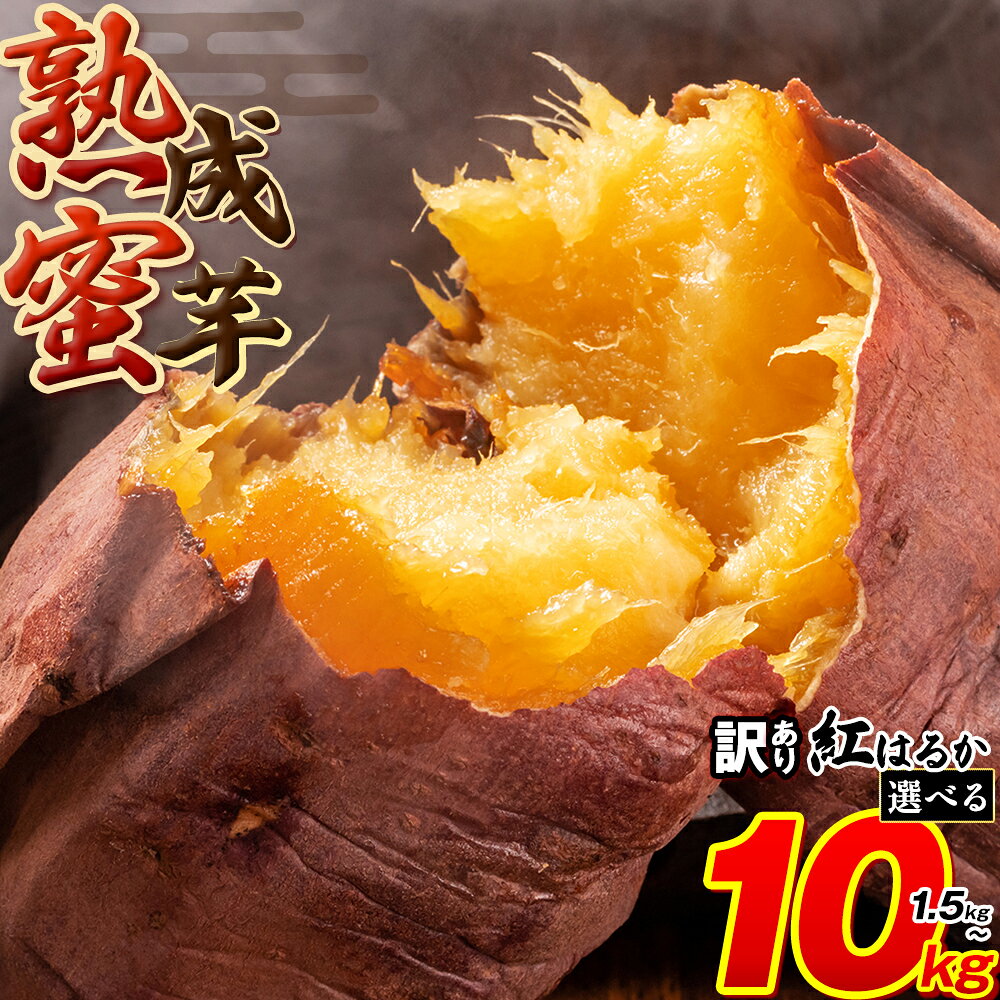 訳あり さつまいも 熟成蜜芋 訳あり 紅はるか さつまいも 1.5kg 3kg 5kg 10kg 《2026年1月上旬-5月末頃出荷予定》紅はるか さつまいも 熊本県 大津町 イモ 芋 さつまいも 訳あり