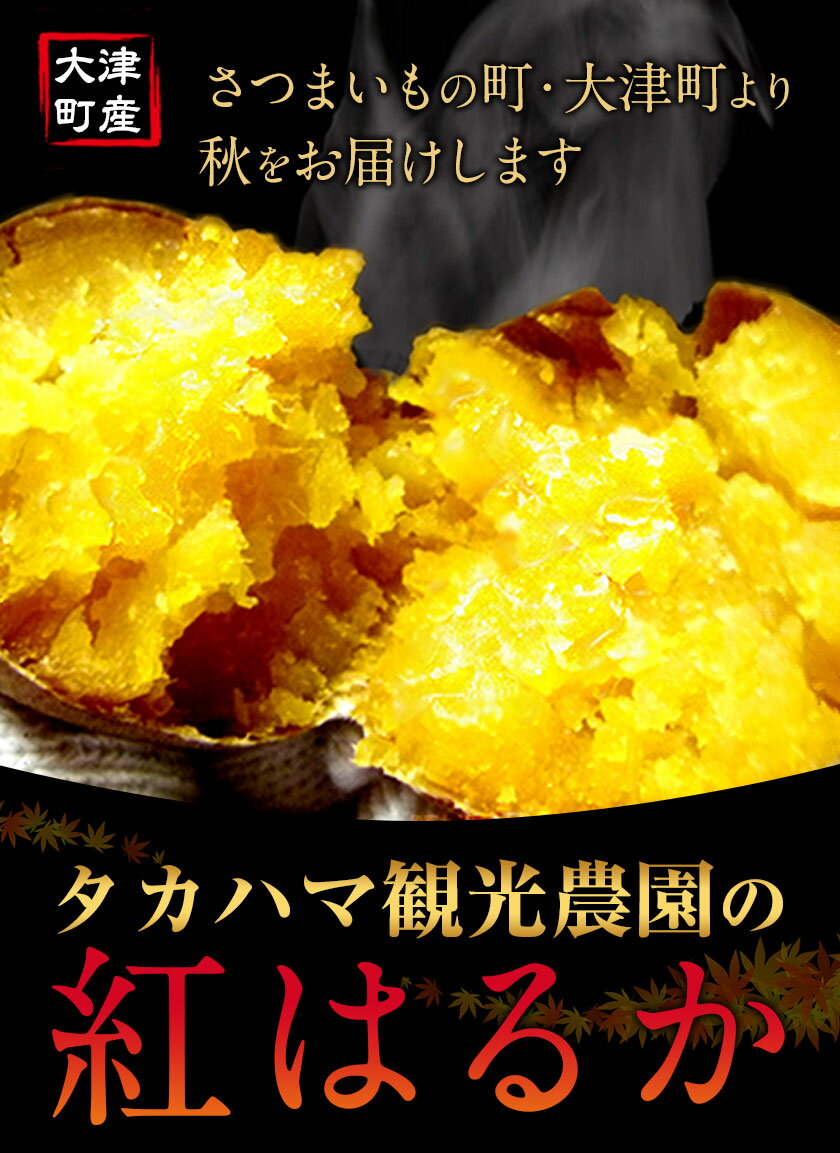 【ふるさと納税】選べる 熊本県 大津町産 タカハマ観光農園 の 紅はるか 約 3 or 5kg 大中小ミックス《2026年1月上旬-6月末頃出荷》 さつまいも さつま芋 芋 スイートポテト 干し芋にも サムネイル2
