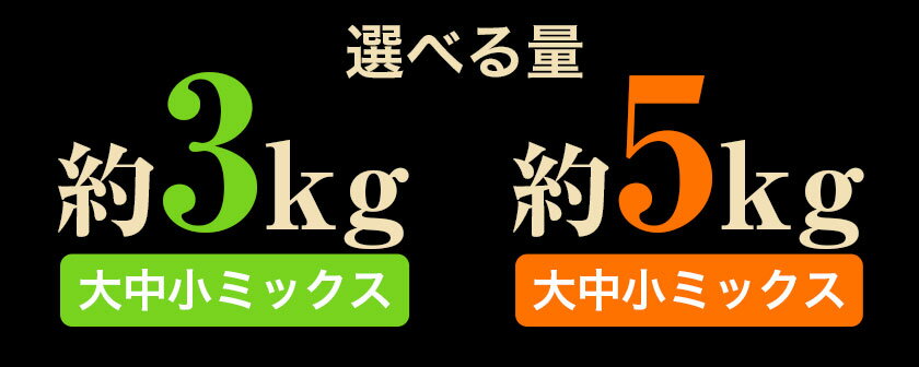 【ふるさと納税】選べる 熊本県 大津町産 タカハマ観光農園 の 紅はるか 約 3 or 5kg 大中小ミックス《2026年1月上旬-6月末頃出荷》 さつまいも さつま芋 芋 スイートポテト 干し芋にも サムネイル3