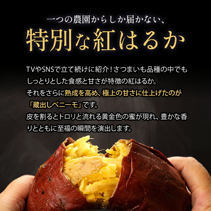 【ふるさと納税】＼受賞歴多数／芋 熊本 県 大津 町産 なかせ 農園の蔵出しベニーモ 選べる 約 1.5kg 約 5kg(大中小サイズ不揃い)《10月末-12月末頃出荷予定(土日祝除く)》 さつま いも さつま芋 芋 紅 はるか スイート ポテト 干し芋にも 特産品 SDGs 中瀬農園 サムネイル3