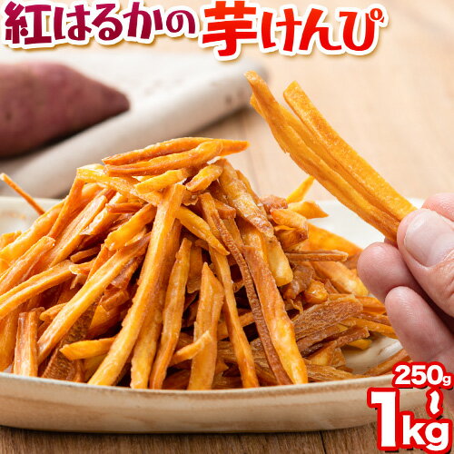 カリッカリ 紅はるかの芋けんぴ 250g 500g 750g 1kg 1袋250g 熊本県大津町産 無添加《30日以内に出荷予定(土日祝を除く)》薩摩芋 さつまいも サツマイモ イモケンピ 保存料・着色料 不使用 小分け