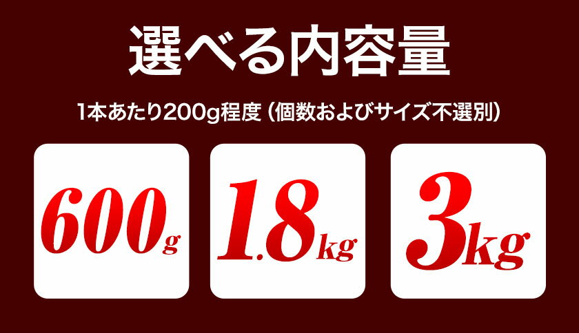 【ふるさと納税】芋 さつまいも 冷凍焼きいも 訳あり 600g 1.8kg 3kg《1-5日以内に出荷予定(土日祝除く)》さつまいも 芋 焼き芋 焼きいも アイス 甘い 冷凍 秋 旬 熊本県 大津町 紅はるか 焼き芋 個包装 小分け 熊本県産 - 画像3