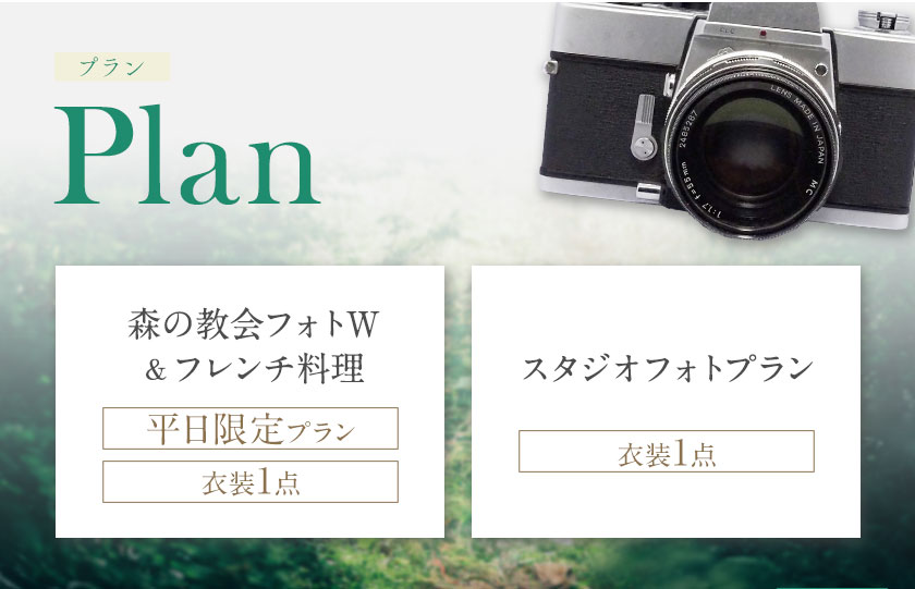 【ふるさと納税】森の教会 ウエディング フォトプラン 全2プランから選べる 《30日以内に出荷予定(土日祝除く)》 熊本県 大津町 結婚式 ウエディングフォト フレンチ スタジオフォト 送料無料 サムネイル3