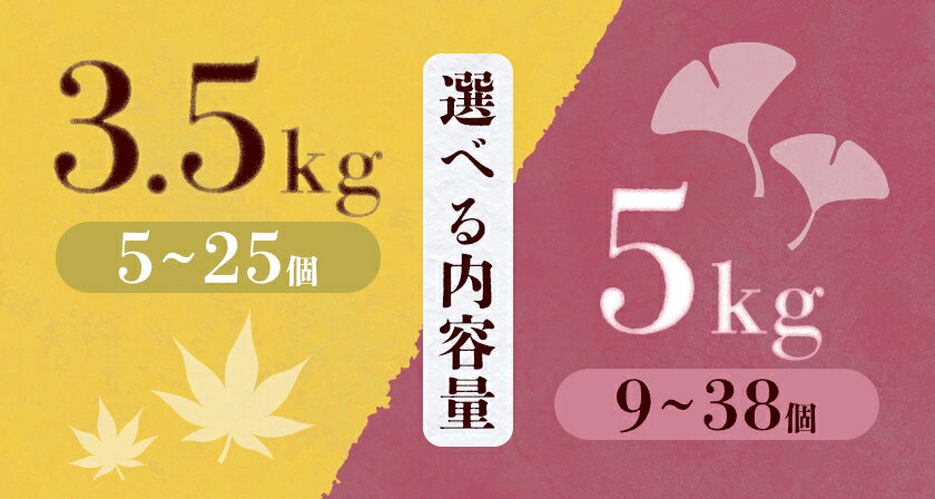 【ふるさと納税】さつまいも 熊本県産 紅はるか 選べる 3.5kg 5kg 日本フルーツ株式会社《11月下旬-6月上旬頃出荷》熊本県 大津町 さつまいも 薩摩芋 からいも 紅はるか デザート 料理 おやつ 蜜芋 野菜 芋 いも - 画像3