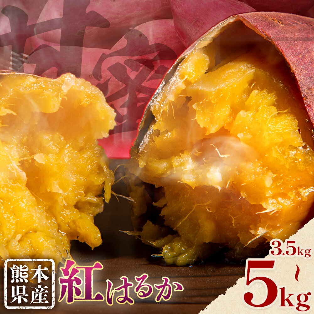 さつまいも 熊本県産 紅はるか 選べる 3.5kg 5kg 日本フルーツ株式会社《11月下旬-6月上旬頃出荷》熊本県 大津町 さつまいも 薩摩芋 からいも 紅はるか デザート 料理 おやつ 蜜芋 野菜 芋 いも