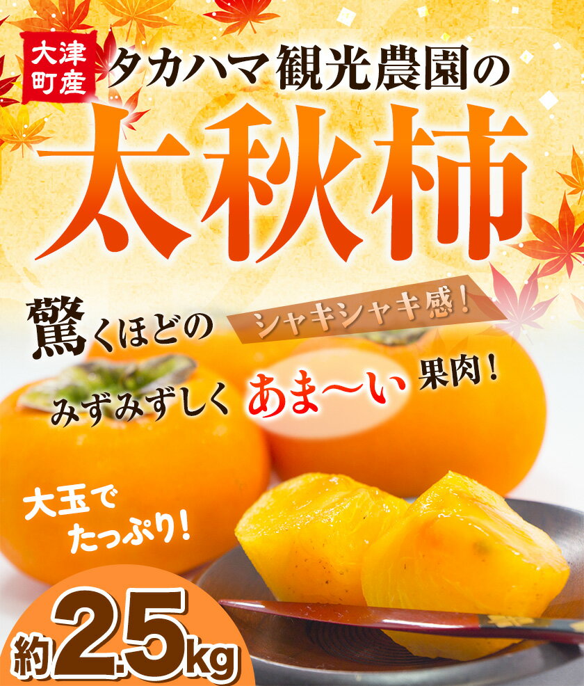 【ふるさと納税】熊本県大津町産 タカハマ観光農園の太秋柿 約2.5kg《10月中旬-11月下旬頃出荷》 サムネイル2