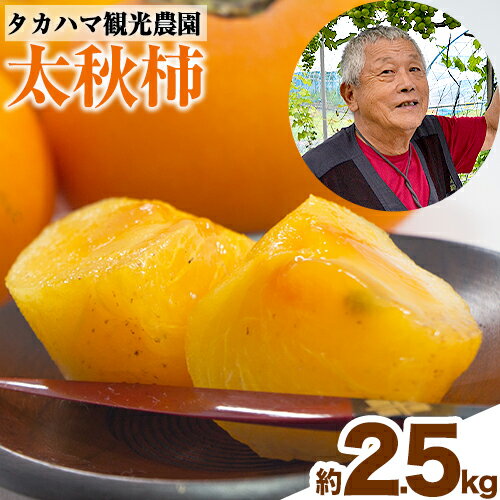 熊本県大津町産 タカハマ観光農園の太秋柿 約2.5kg《10月中旬-11月下旬頃出荷》