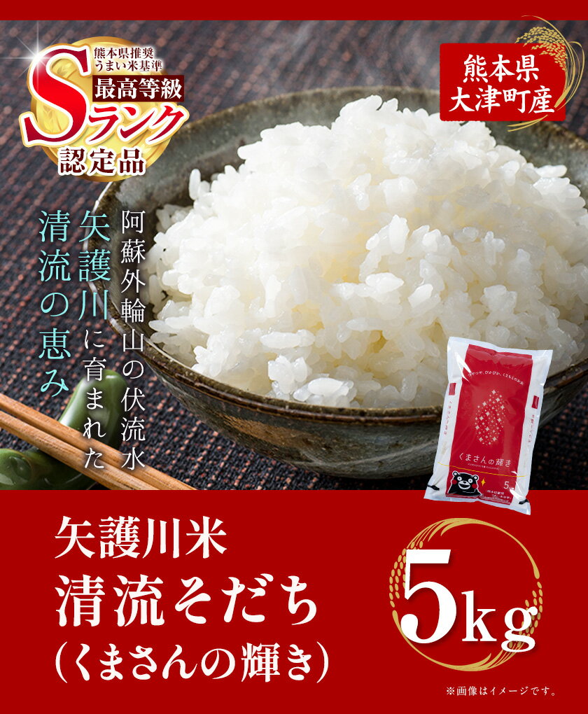 【ふるさと納税】令和7年産 矢護川清流そだち(くまさんの輝き) 5kg 大津町矢護川おいしい米作り研究会 お米 熊本県 大津町《60日以内に出荷予定(土日祝除く)》 - 画像3