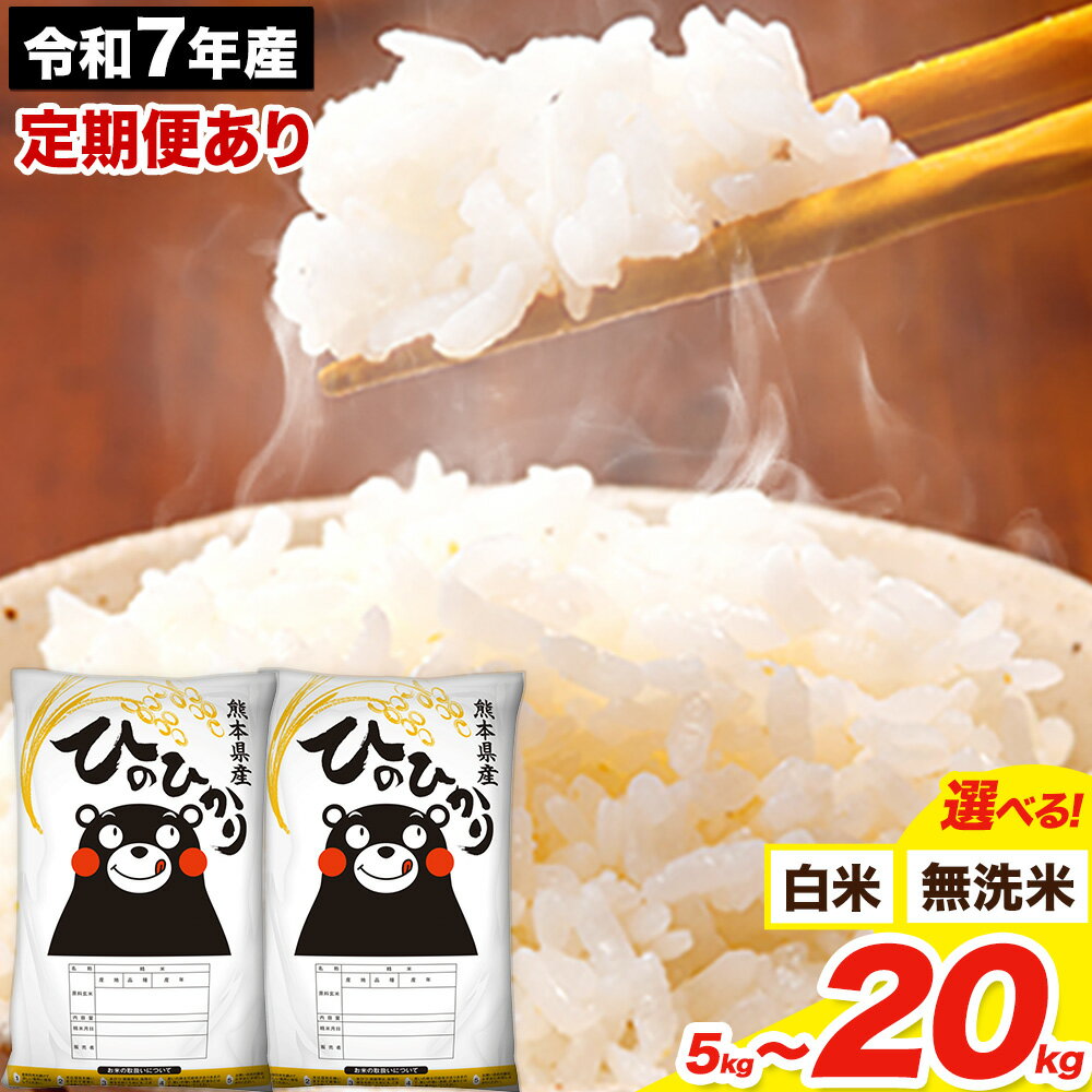 令和7年産 無洗米 も選べる 白米 米 ひのひかり 5kg 10kg 20kg 《出荷時期をお選びください》熊本県 大津町 国産 熊本県産 白米 精米 無洗米 送料無料 ヒノヒカリ こめ お米