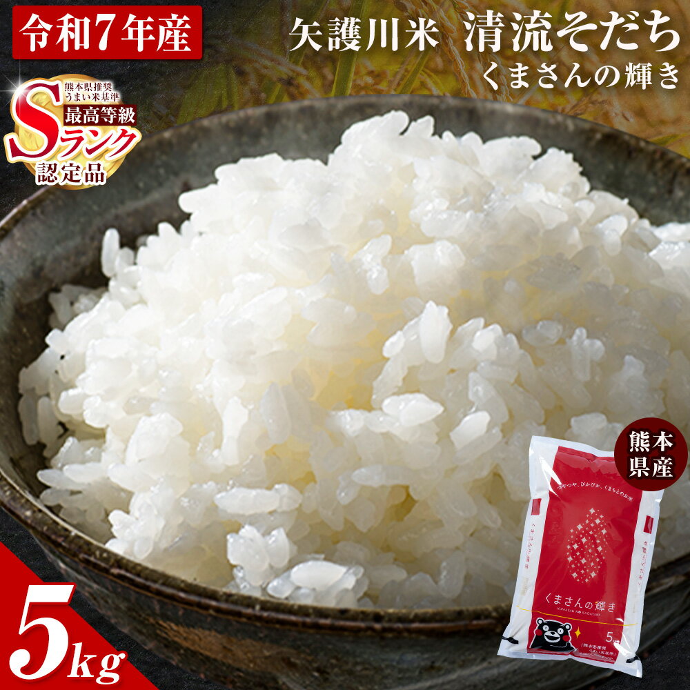 令和7年産 矢護川清流そだち(くまさんの輝き) 5kg 大津町矢護川おいしい米作り研究会 お米 熊本県 大津町《60日以内に出荷予定(土日祝除く)》