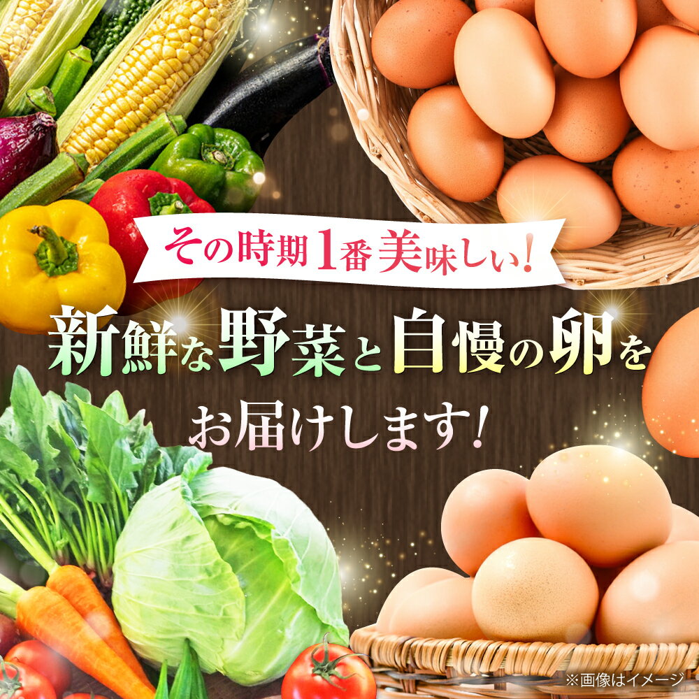 【ふるさと納税】新鮮 卵 と 旬の 野菜 セット (野菜7-8品程度＋40個) / たまご 生卵 タマゴ 詰合せ 詰め合わせ セット 熊本県 特産品 一人暮らし にんじん ごぼう キャベツ きゅうり トマト さつまいも 大根 ほうれん草 小松菜【有限会社さんふれあ】[BHAK002] - 画像2
