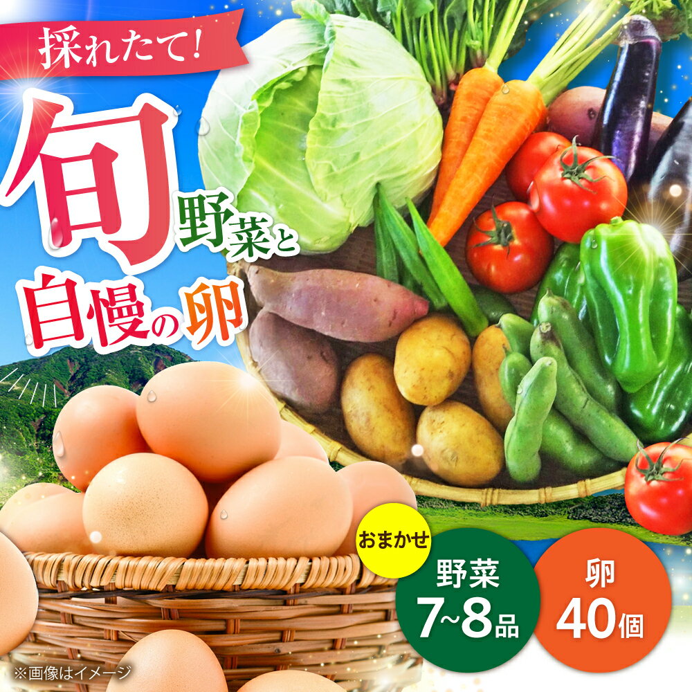 新鮮 卵 と 旬の 野菜 セット (野菜7-8品程度＋40個) / たまご 生卵 タマゴ 詰合せ 詰め合わせ セット 熊本県 特産品 一人暮らし にんじん ごぼう キャベツ きゅうり トマト さつまいも 大根 ほうれん草 小松菜【有限会社さんふれあ】[BHAK002]