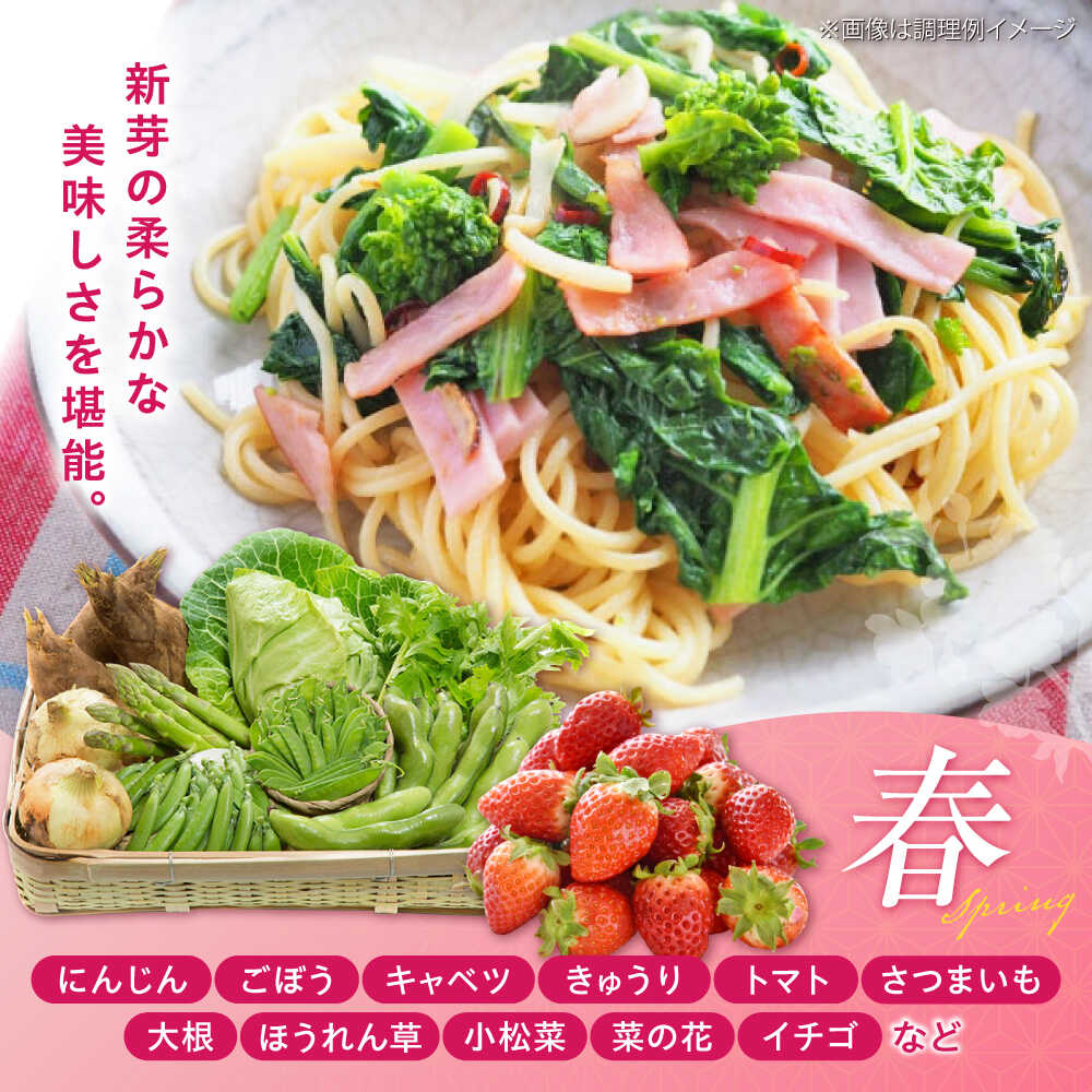 【ふるさと納税】【全3回定期便】菊陽町特産品 「野菜・果物などの詰め合わせ」 / 新鮮 詰合せ フルーツ セット 旬 おまかせ にんじん ごぼう 直売所 やさい 野菜 くだもの 果実 熊本県 特産品 菊陽町【有限会社さんふれあ】[BHAK007] - 画像3