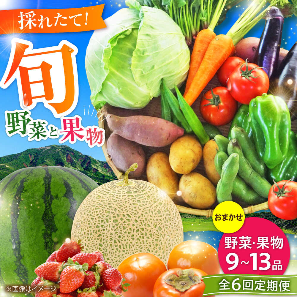 【全6回定期便】菊陽町特産品 「野菜・果物などの詰め合わせ」 / 新鮮 詰合せ フルーツ セット 旬 おまかせ にんじん ごぼう 直売所 やさい 野菜 くだもの 果実 熊本県 特産品 菊陽町【有限会社さんふれあ】[BHAK008]