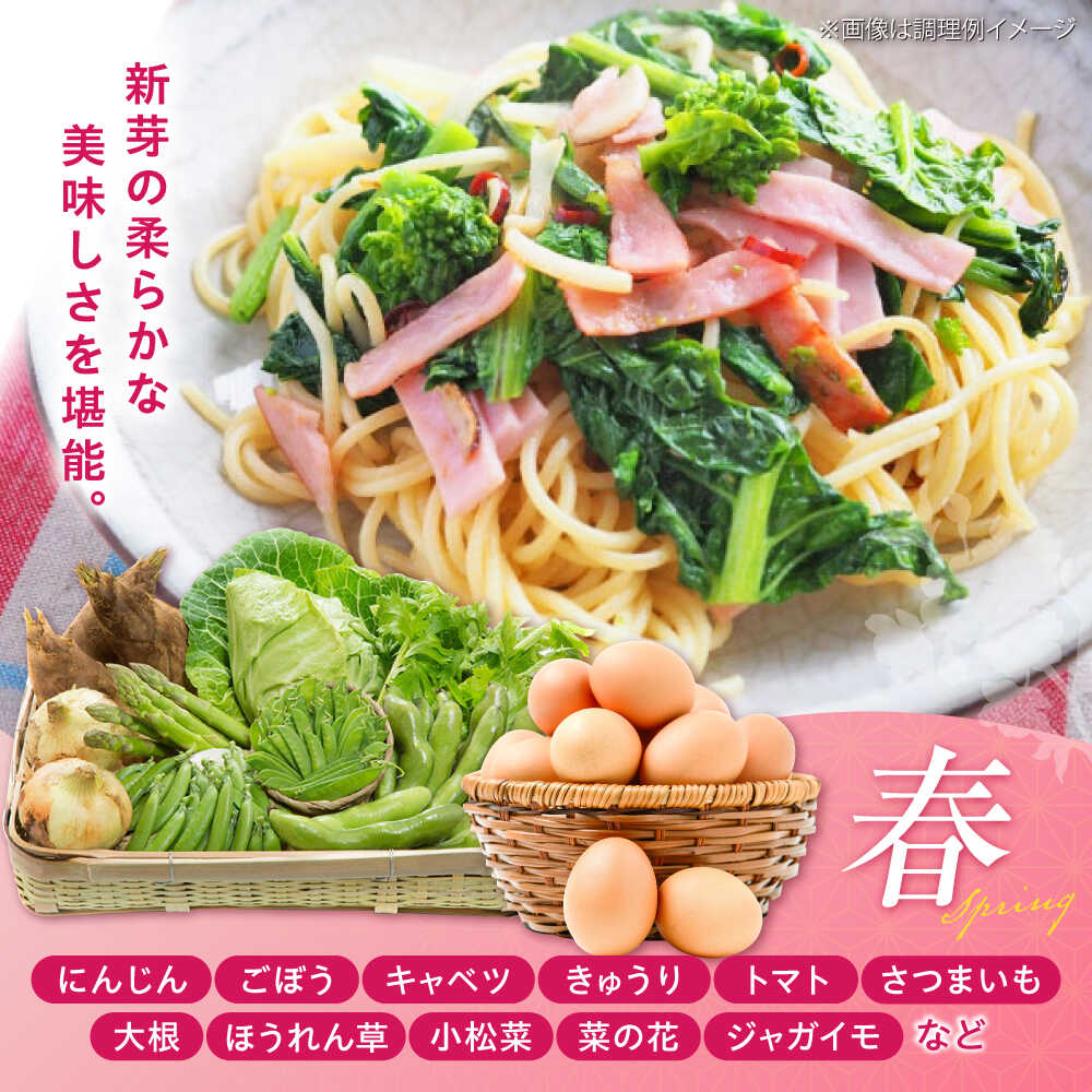 【ふるさと納税】【全6回定期便】【新鮮たまごと旬の野菜セット(野菜7~8品程度＋40個) / 菊陽町 たまご 生卵 タマゴ 詰合せ セット 新鮮 季節 やさい ヤサイ 料理 調理 前菜 副菜 旬 卵 タマゴ 特産 熊本県 特産品【有限会社さんふれあ】[BHAK010] - 画像3
