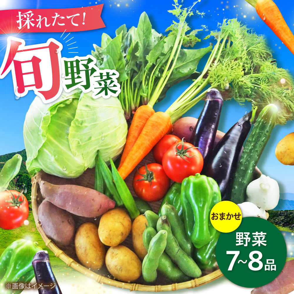 旬の 野菜 セット (約3kg/野菜7-8品程度) / 新鮮 詰合せ やさい セット 旬 おまかせ にんじん ごぼう 直売所 やさい 野菜 3kg 3キロ サラダ 10,000円以下 一万円以下 1万円以下 【有限会社さんふれあ】[BHAK023]