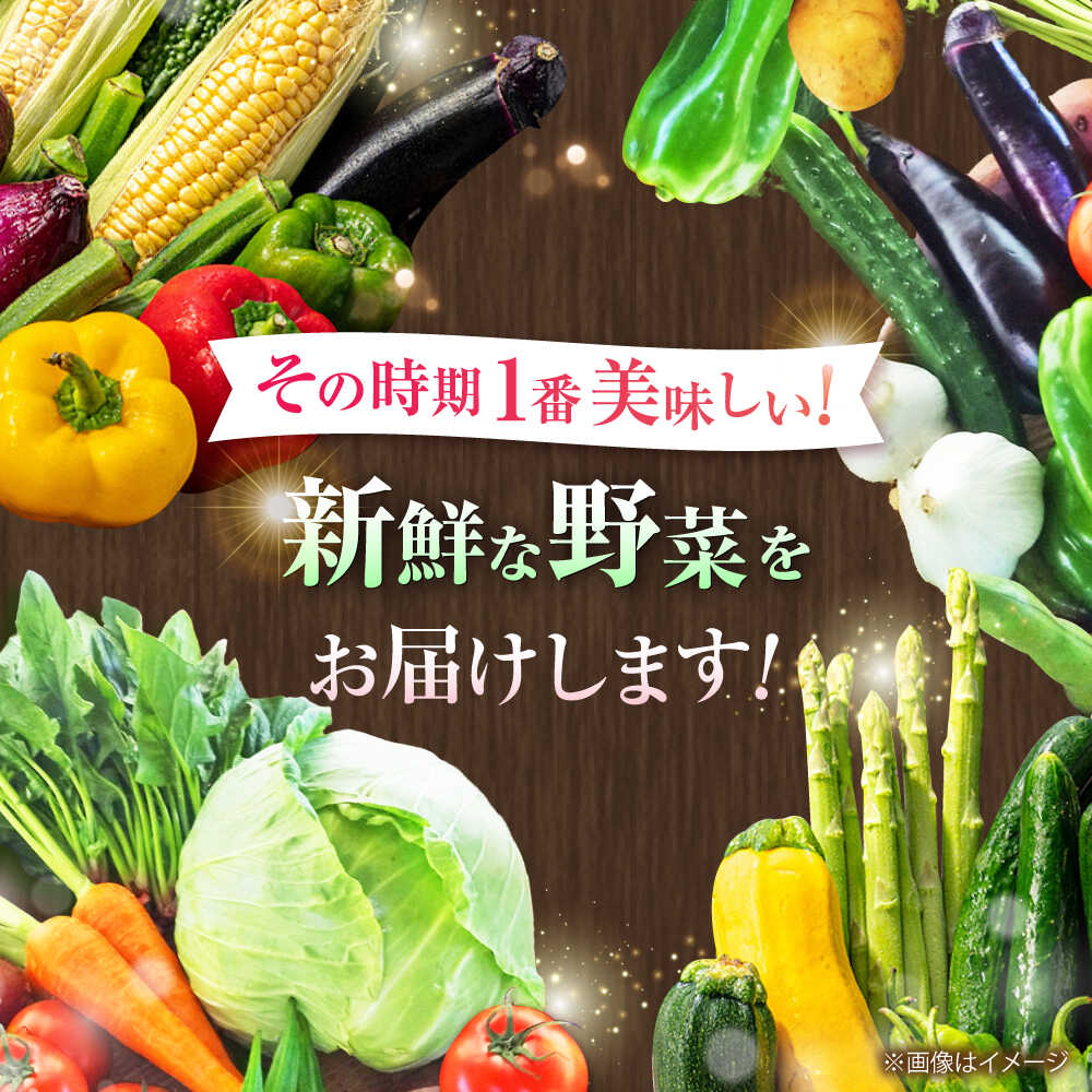 【ふるさと納税】【全3回定期便】旬の 野菜 セット (約3kg/野菜7-8品程度) / 新鮮 詰合せ やさい セット 旬 おまかせ にんじん ごぼう 直売所 やさい 野菜 3kg 3キロ サラダ 熊本県 特産品 菊陽町 定期便 【有限会社さんふれあ】[BHAK024] - 画像2