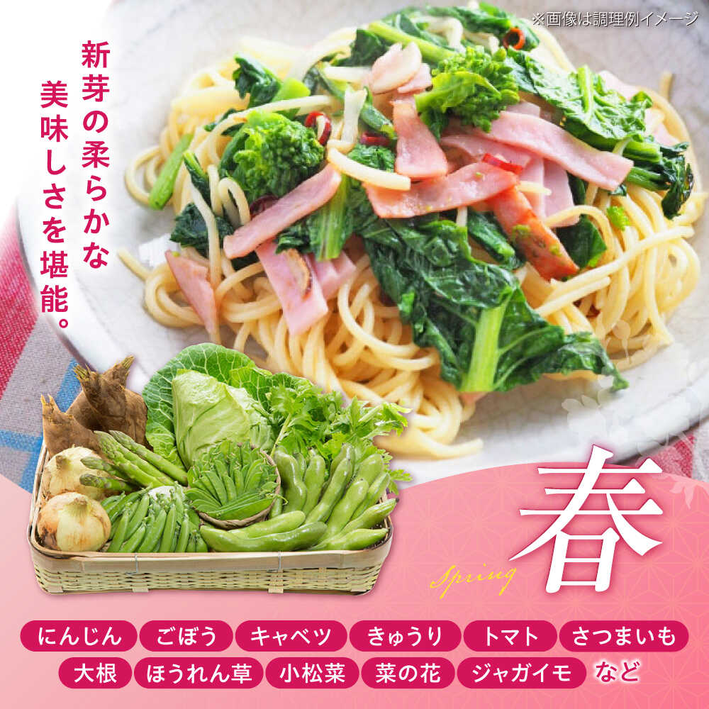 【ふるさと納税】【全6回定期便】旬の 野菜 セット (約3kg/野菜7-8品程度) / 新鮮 詰合せ やさい セット 旬 おまかせ にんじん ごぼう 直売所 やさい 野菜 3kg 3キロ サラダ 熊本県 特産品 菊陽町 定期便【有限会社さんふれあ】[BHAK025] - 画像3
