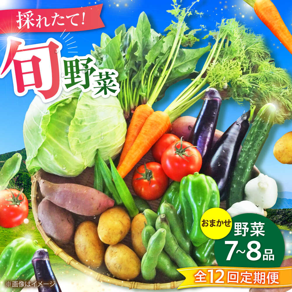 【全12回定期便】旬の 野菜 セット (約3kg/野菜7-8品程度) / 新鮮 詰合せ やさい セット 旬 おまかせ にんじん ごぼう 直売所 やさい 野菜 3kg 3キロ サラダ 熊本県 特産品 菊陽町 定期便【有限会社さんふれあ】[BHAK026]