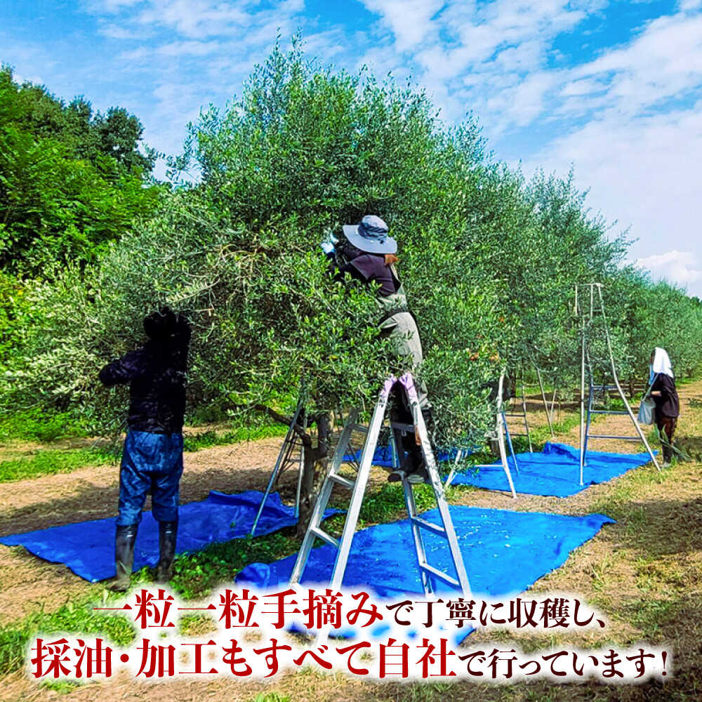 【ふるさと納税】【限定数量】EXV オリーブオイル ピクアル種 130ml×1 / エクストラバージン オリーブ フルーティ 手摘み コールドプレス 調味料 油 熊本 菊陽町【こびらオリーブ園】[BHBL002] サムネイル2