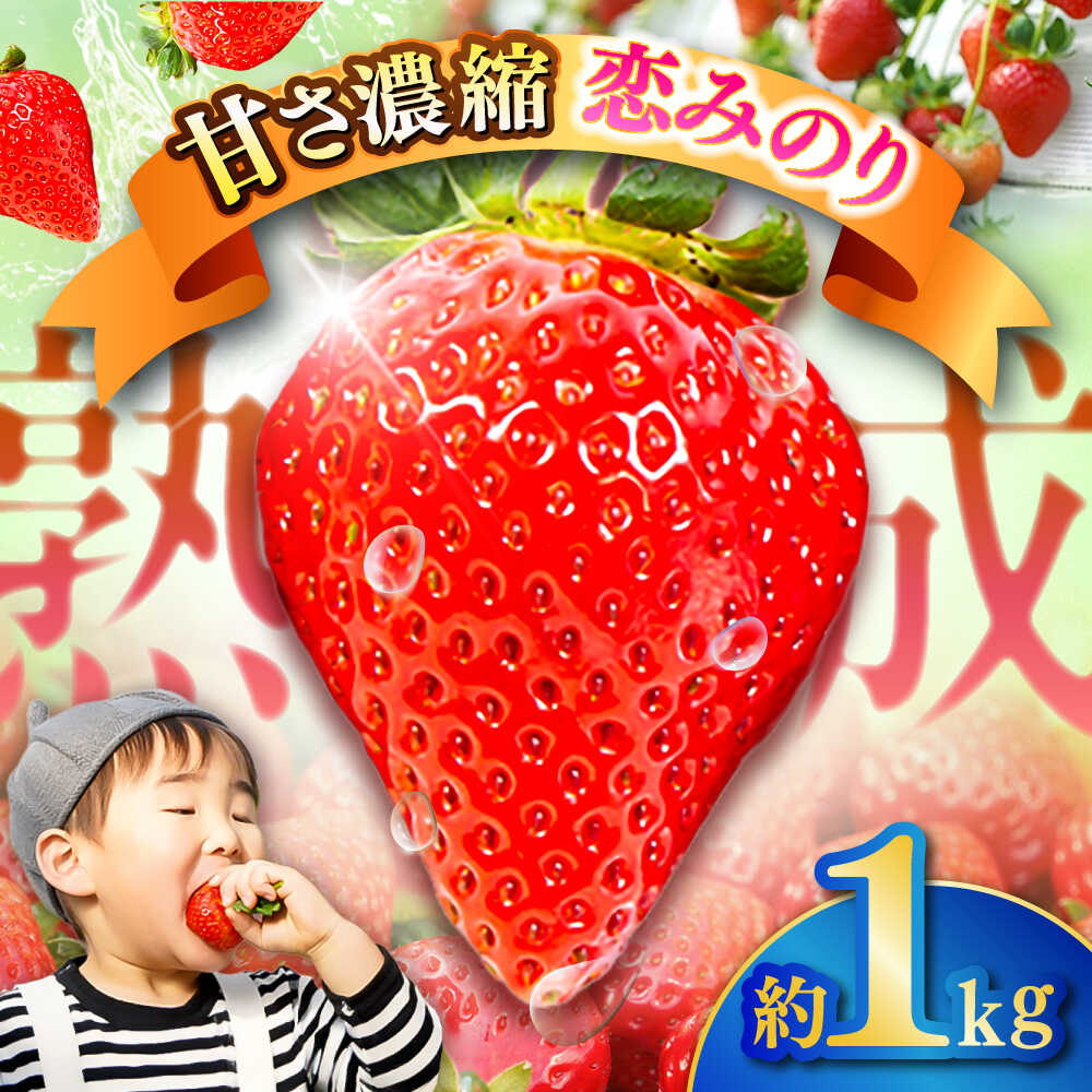 【先行予約】【2026年1月発送開始】 熊本県産 いちご 恋みのり 計1kg (250g×4パック)苺 果物 フルーツ 甘い イチゴ おいしい 熊本県 菊陽町【有限会社 吉岡農園】[BHBM002]