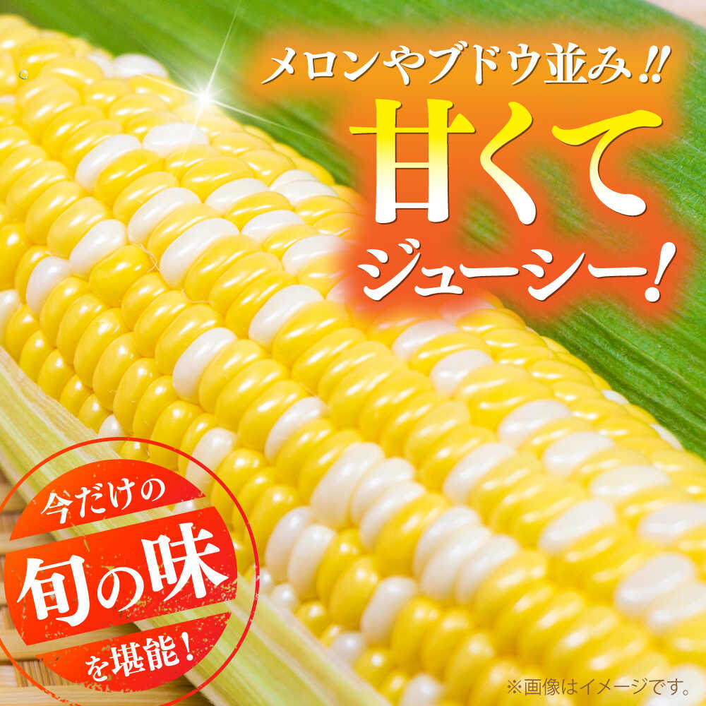 【ふるさと納税】【先行予約】【2026年6月上旬より順次発送】スイートコーン(甘々娘) 約4kg（10〜11本）/ 高糖度 かんかんむすめ 糖度 コーンスープ 産地直送 甘さ コーン おやつ BBQ バター焼き 野菜 とうもろこし 糖度 菊陽町【なかむら農園】[BHCJ001] - 画像2