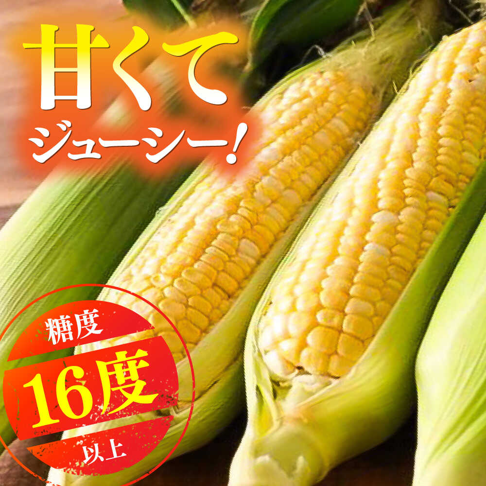 【ふるさと納税】【先行予約】【2026年5月下旬より順次発送】スイートコーン(ドルチェドリーム)約4kg / 高糖度 どるちぇどりーむ 糖度 コーンスープ 産地直送 甘さ コーン おやつ BBQ バター焼き 野菜 とうもろこし 糖度 菊陽町【なかむら農園】[BHCJ002] - 画像3