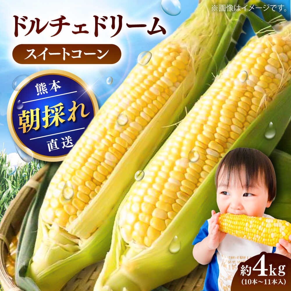 【先行予約】【2026年5月下旬より順次発送】スイートコーン(ドルチェドリーム)約4kg / 高糖度 どるちぇどりーむ 糖度 コーンスープ 産地直送 甘さ コーン おやつ BBQ バター焼き 野菜 とうもろこし 糖度 菊陽町【なかむら農園】[BHCJ002]