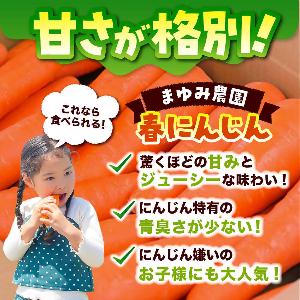 【先行予約】【4月中旬より順次発送】【ふるさと納税】春にんじん10kg / にんじん ニンジン 野菜 β-カロテン 食物繊維 抗酸化作用 栄養満点 熊本県産 菊陽町 【株式会社 まゆみ農園】[BHCW001] - 画像3