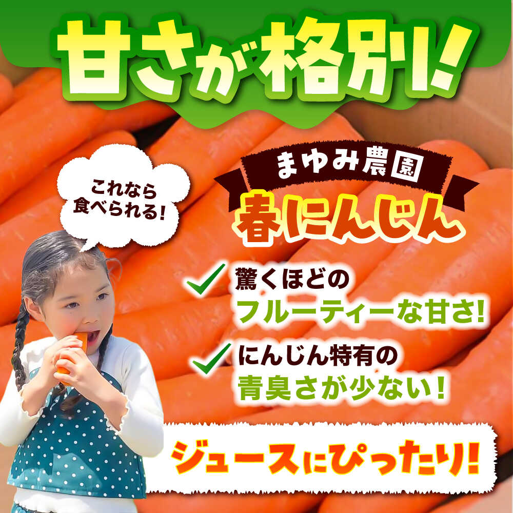 【先行予約】【4月中旬より順次発送】【ふるさと納税】春にんじん10kg(訳あり) / にんじん ニンジン 規格外 ジュース 野菜 β-カロテン 食物繊維 抗酸化作用 栄養満点 熊本県産 菊陽町【株式会社 まゆみ農園】[BHCW002] - 画像3