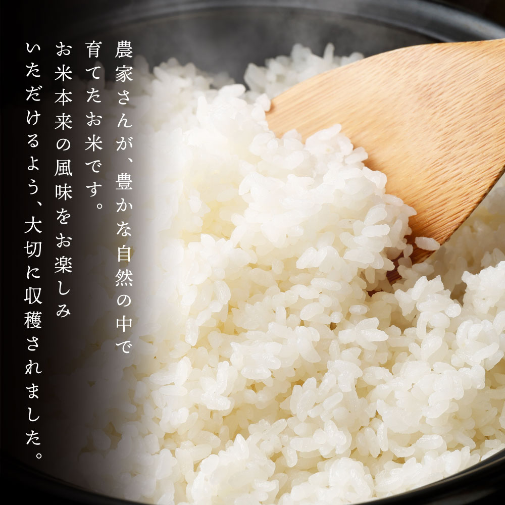 【ふるさと納税】【選べる 定期便】【無洗米】阿蘇だわら 熊本県 高森町 オリジナル米 1回あたり 10kg (5kg×2袋) 計20kg～120kg 36000円 ～ 216000円 3万6000円 ～ 21万6000円 選べる配送間隔 配送回数 毎月/隔月 2回～12回 米 お米 白米 精米 常温 - 画像3