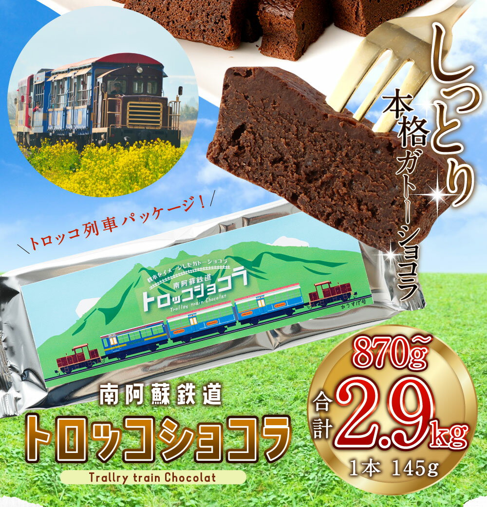 【ふるさと納税】南阿蘇鉄道トロッコショコラ 選べる 容量 発送月 約870g～約2.9kg 1本約145g 6本/10本/20本 10000円 ～ 25000円 1万円 ～2万5000円 ガトーショコラ 濃厚 チョコレート チョコケーキ 美味しいチョコ スイーツ 洋菓子 お菓子 デザート おやつ 阿蘇 送料無料 サムネイル3