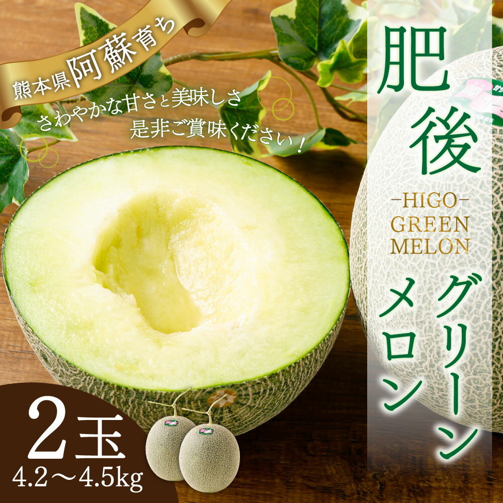 【ふるさと納税】肥後グリーンメロン 2玉 4.2kg〜4.5kg 熊本県産 メロン 大玉 めろん 果物 フルーツ 国産 常温 送料無料 【2026年7月上旬～8月上旬発送予定】 - 画像2