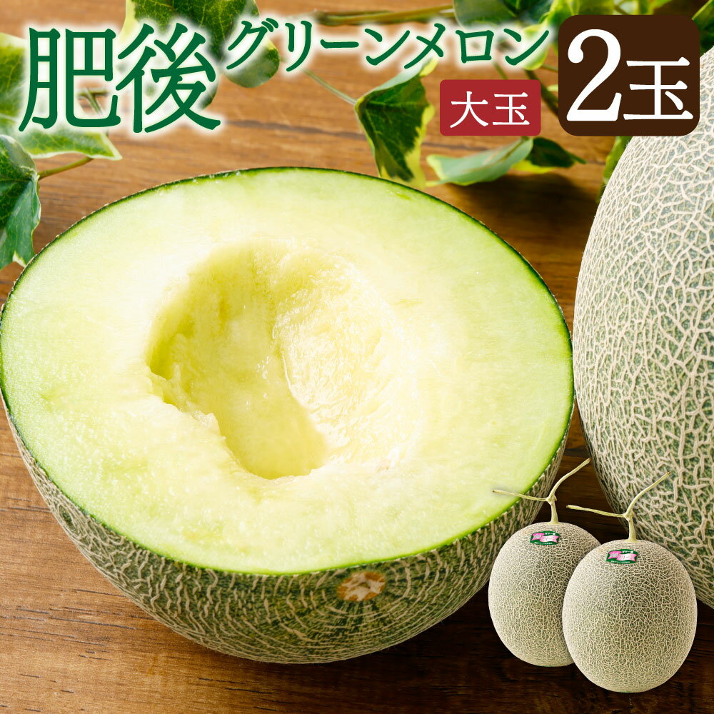 肥後グリーンメロン 2玉 4.2kg〜4.5kg 熊本県産 メロン 大玉 めろん 果物 フルーツ 国産 常温 送料無料 【2026年7月上旬～8月上旬発送予定】