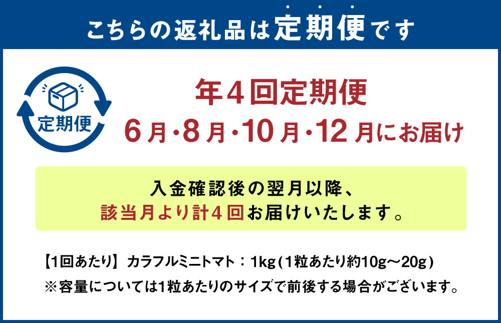 【ふるさと納税】【年4回定期便】カラフルミニトマト 合計4kg 各便約1kg 計4回 野菜 トマト 青果 ベジタブル 国産 九州産 熊本産 高森町産 冷蔵 送料無料【毎年6月上旬より順次発送】 - 画像2