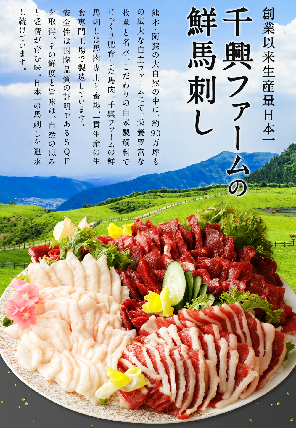 【ふるさと納税】【阿蘇・熊本復興記念】高森町限定 馬肉バラエティ7種 合計680g / 1360g 選べる 容量 (赤身ブロック タタキ 桜うまトロ 線切りユッケ フタエゴダイス ハンバーグ ホルモン焼き おろしポン酢 ユッケのタレ ソース) 12000円 ～ 24000円 1万2000円 ～ 2万4000円 サムネイル3