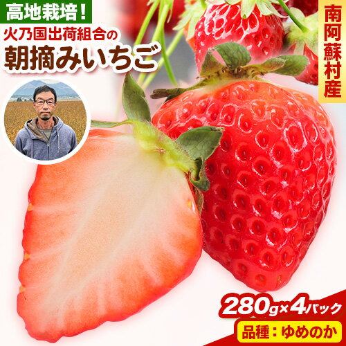 朝摘みいちご ゆめのか 280g×4パック 高地栽培 味采市場 《1月末-3月末頃より出荷予定》 熊本県南阿蘇村 味采市場 いちご 苺 イチゴ フルーツ くだもの 果物