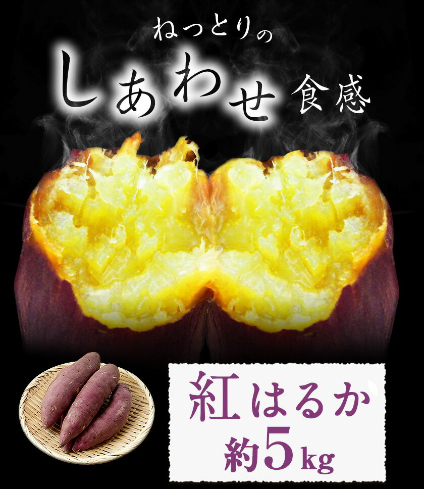 【ふるさと納税】紅はるか 約5kg《30日以内に出荷予定(土日祝除く)》熊本県 御船町 秋 旬 野菜 有限会社ニシムラ - 画像2