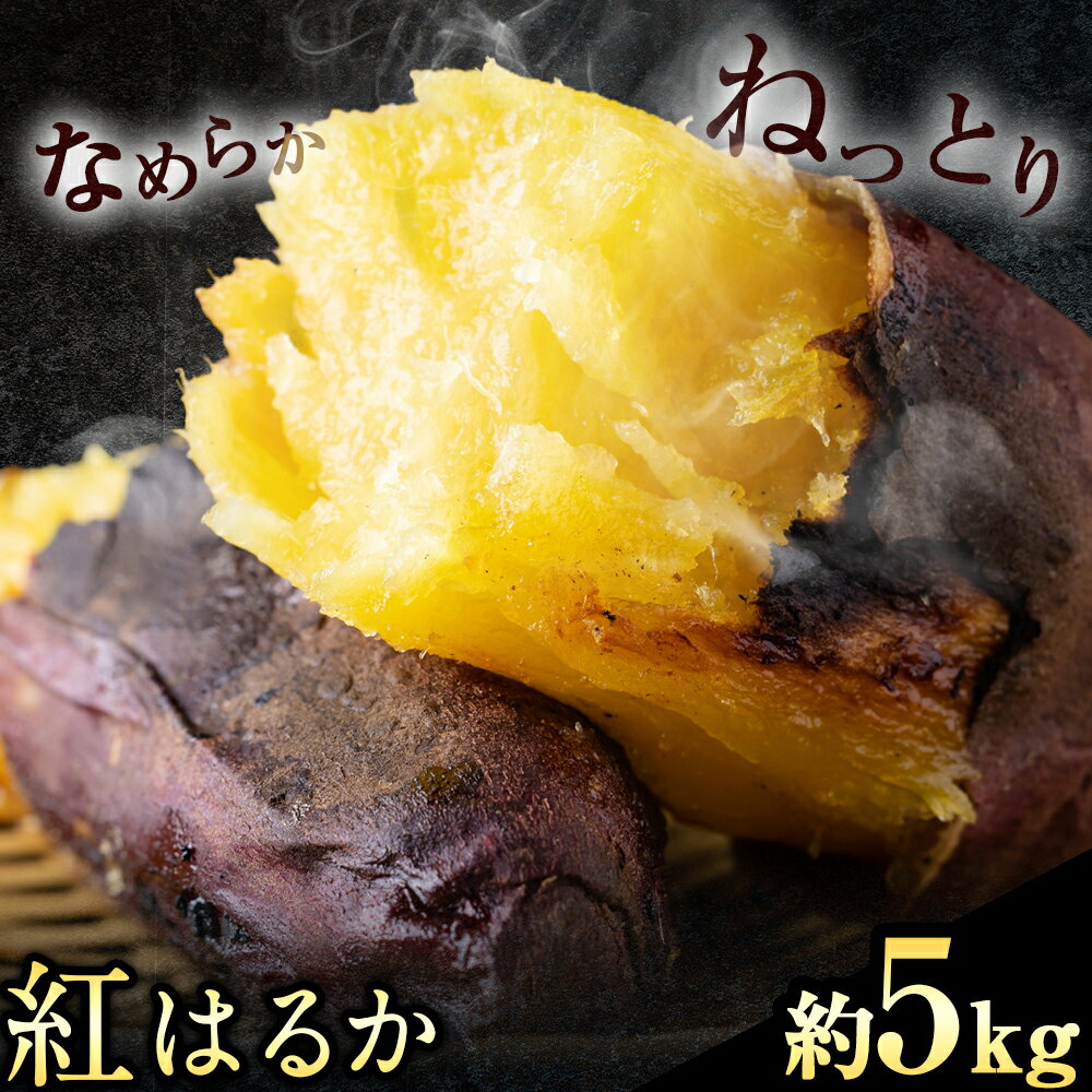 紅はるか 約5kg《30日以内に出荷予定(土日祝除く)》熊本県 御船町 秋 旬 野菜 有限会社ニシムラ