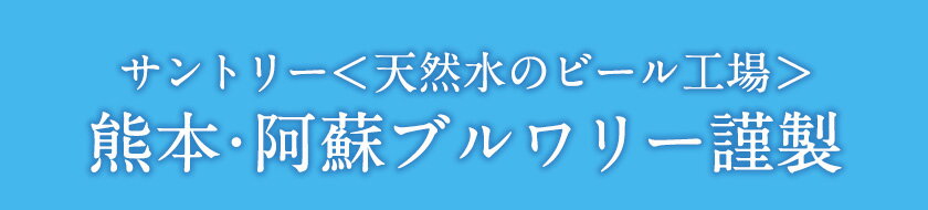 【ふるさと納税】“九州熊本産”オールフリー 350ml 24本 1ケース or 48本 2ケース 阿蘇の天然水100％仕込 ノンアルコール 熊本県御船町《出荷時期をお選びください》 ノンアル 熊本 御船 贈答 ギフト 24缶 48缶 サムネイル2