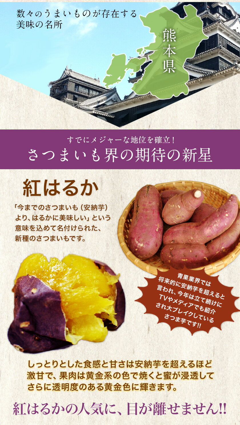 【ふるさと納税】紅はるか 約5kg《30日以内に出荷予定(土日祝除く)》熊本県 御船町 秋 旬 野菜 有限会社ニシムラ - 画像3