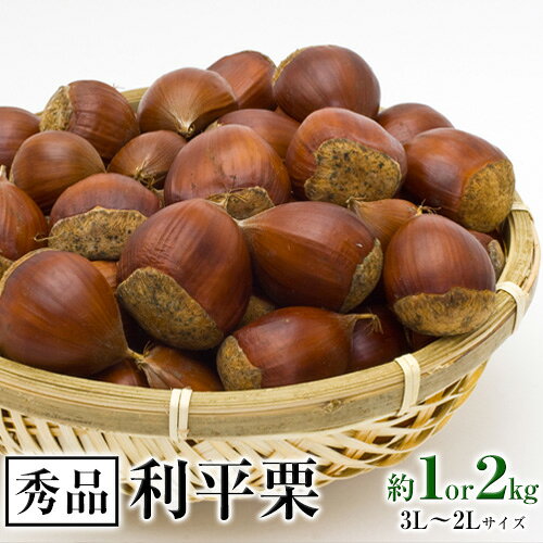 【先行予約】利平栗 熊本県御船町産限定 約1 or 2kg(3L-2Lサイズ)　秋 旬 野菜 予約 スイーツ きんとん 甘露煮 渋皮煮 栗ご飯 熊本県御船町《2026年9月上旬-2026年10月上旬頃出荷》