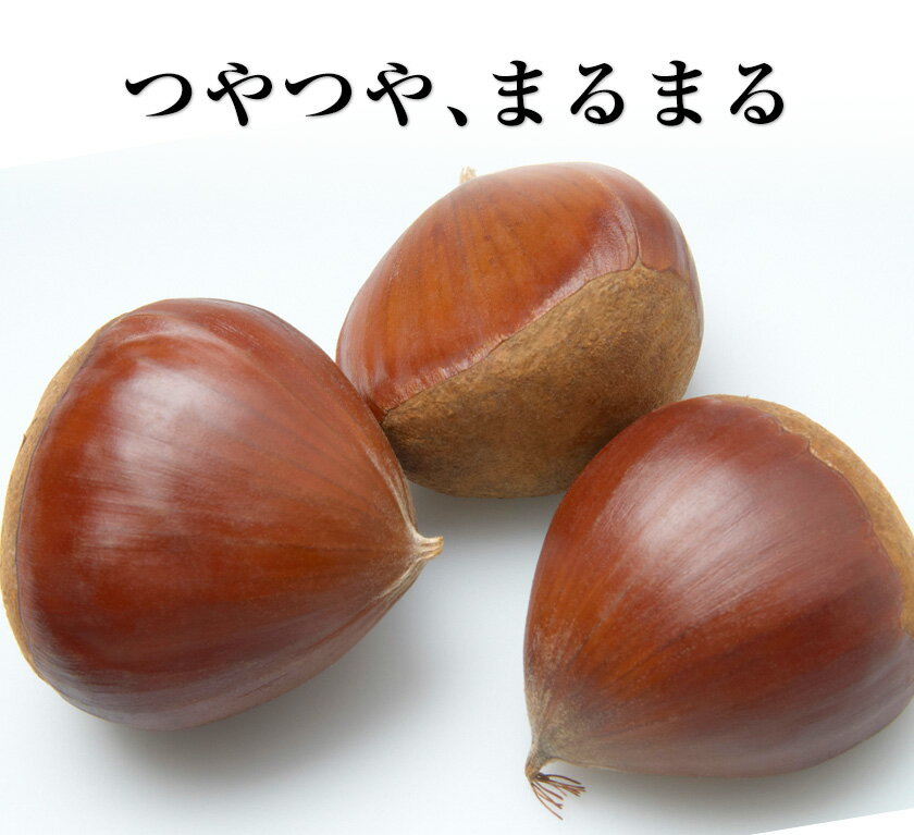 【ふるさと納税】【先行予約】生栗 熊本県御船町産限定 約1kg 約2kg(2L-Lサイズ) 期間限定 野菜 予約 スイーツ きんとん 甘露煮 渋皮煮 栗ご飯 熊本県御船町《2026年9月上旬-9月下旬頃出荷》 - 画像3