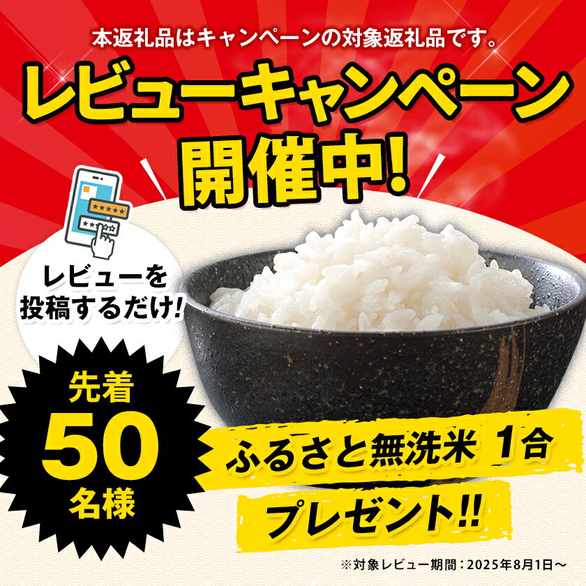 【ふるさと納税】総合1位獲得！最短翌日お届け★レビューキャンペーン実施中！定期便 ビール 1ケース 24 本 2ケース 48 本 6本 350 ml 500 ml× 24 本 阿蘇天然水100％仕込 プレミアムモルツ ザ・プレミアム・モルツ ビール ギフト お酒 プレモル 24缶 6缶 サムネイル2