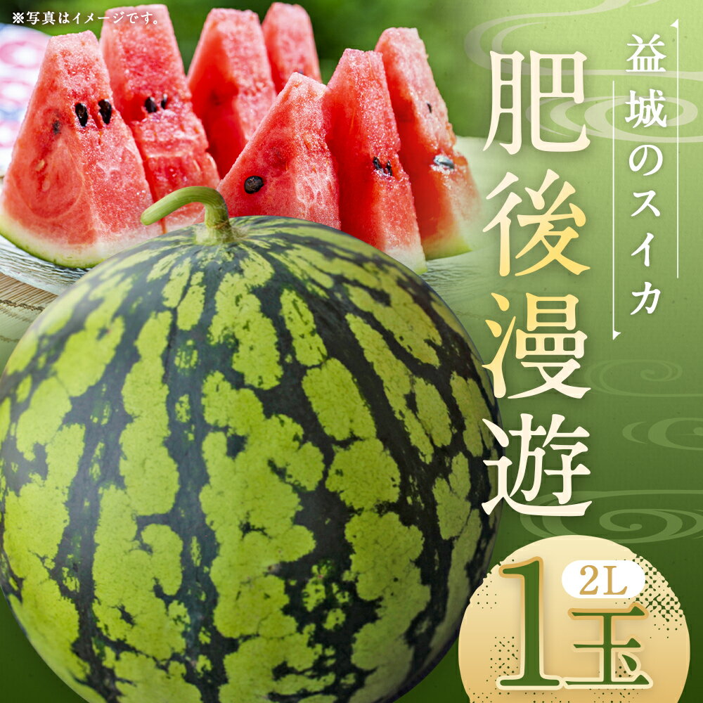 【ふるさと納税】スイカ 肥後漫遊 約7kg 1玉 2Lサイズ すいか フルーツ 果物 益城町産 熊本県産 九州産 送料無料 【2026年4月下旬～6月下旬迄発送予定】 サムネイル2