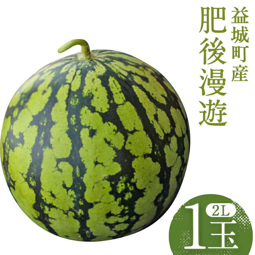 スイカ 肥後漫遊 約7kg 1玉 2Lサイズ すいか フルーツ 果物 益城町産 熊本県産 九州産 送料無料 【2026年4月下旬～6月下旬迄発送予定】