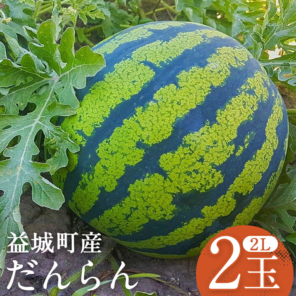 スイカ だんらん 約7kg×2玉 合計約14kg 2Lサイズ すいか フルーツ 果物 益城町産 熊本県産 九州産 送料無料 【2026年4月下旬～6月下旬迄発送予定】