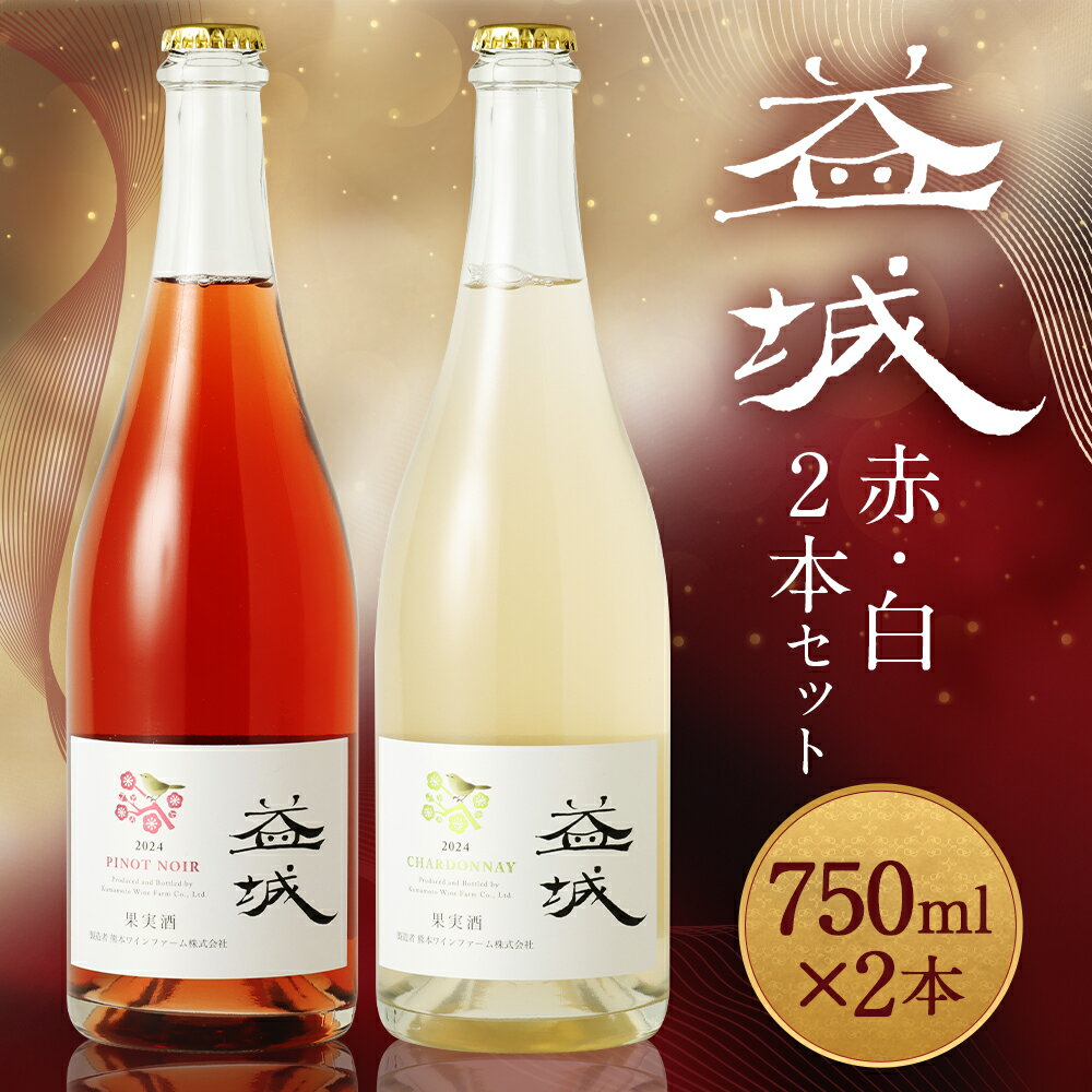 【ふるさと納税】益城ワイン 2本セット 750ml×2本 赤ワイン 白ワイン 2種類 飲み比べ ワイン ピノ・ノワール シャルドネ お酒 アルコール 益城町 熊本県 送料無料 サムネイル2