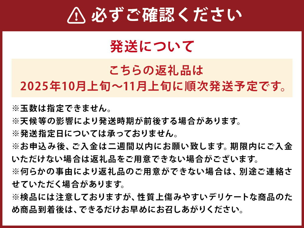 【ふるさと納税】太秋柿 約3kg 8～16玉入り 柿 果物 フルーツ 熊本県産 益城町産 九州産 送料無料【2025年10月上旬～11月上旬に発送予定】 サムネイル3